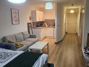 Studio Flat, Ryland Street, B16