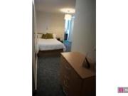 Studio for rent