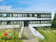 studio for rent in Whitehall Road, Colchester, Colchester