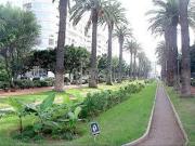 Studio haut standing de 50 m², Palmier Casablanca