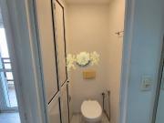 Studio Home Bela Cintra