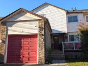 Studio Home for Rent at Pharmacy Ave & Steeles Ave E,... Studio Home for Rent at Pharmacy Ave & Steeles Ave E,...