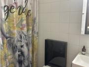 Studio in Zürich Kreis 1, möbliert