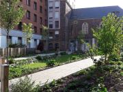 Studio – La Sagesse