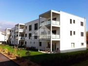 Studio récent à louer à Bramois. Comptoir Immobilier