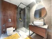 Studio récent meublé 52m2 Clim garage Palmier