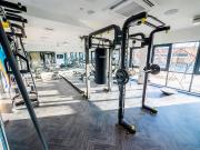 Studio to rent