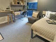 Studio to rent