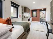 Studio to rent