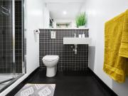 Studio to rent