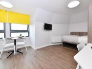 Studio to rent