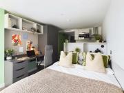 Studio to rent