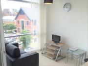 Studio to rent