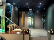 Studio to rent Studio to rent