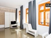 Studio Wohnung zur Miete in Friedrichshain, Berlin