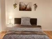 Studio zu vermieten in Berlin