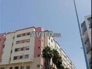 Studios et Apparts Mbles Célibataires Ensoleillée