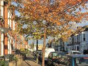 Stunning 3Bed 2Bath Garden Flat Brading Rd Brixton