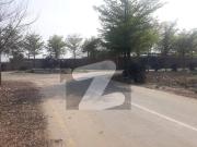 Stunning And Affordable Residential Plot Available For...