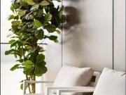 STUNNING DESIGNER 1 BEDROOM APARTMENT