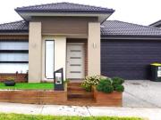 Stunning Family Home in Craigieburn