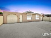 Stunning Family Home in Prime Albanvale Location!