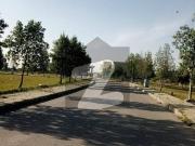 Stunning Height location, St 15 1 Kanal Plot