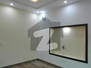 Stunning House Is Available For Rent In Punjab...