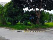 Stunning Vacant Lot for Sale in Sucat, Paranaque City
