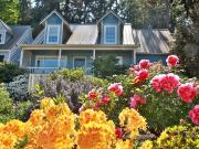 Stunning View With This Cape Cod Cottage In Langley!