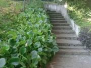 Stupendo appartamento con 3 camere doppie 2 bagni salone...