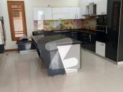 Stylish 500 Yards West Open Bungalow for Rent DHA Phase...