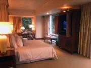 Stylish 6 Bedroom House and Lot for Sale in Forbes Park...