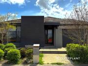 Stylish Family Living in a Quality Metricon Home