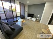 Stylish Fully Furnished Apartment Waterloo 3 6 Months...