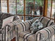 Stylish Fully Furnished Comfortable Home in the Heart of...