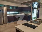 Stylish Living House For Rent In F 6/3