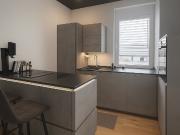 Stylish Penthouse Apartment with Rooftop Terrace near...
