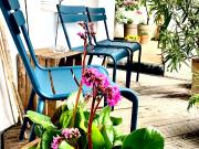 Stylishly furnished old apartment in Unterbilk with...