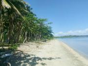 Subdivided Beach Lots For Sale