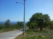 subdivided residential lot tubod minglanilla cebu