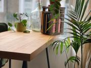 Sublet 1 bed Private Garden Flat in Lower Clapton