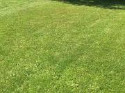 Sucé sur Erdre 44240 Programme neuf terrain neuf à vendre