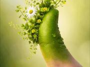 suchen Mieter für Haus in Schlins mit grünem Daumen