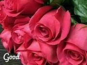 Sudarsan Panchsheel 1 Bedroom 435 Sq. Ft. Apartment in...