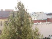 SÜDSEITIG HOFRUHELAGE!