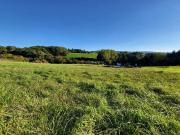 SÜDSEITIGER BAUGRUND IN TOPLAGE