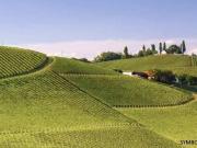 SÜDSTEIERMARK: atemberaubender Rundumblick, malerische...