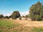 Suelo en venta, Llubí, Baleares/Islas Baleares