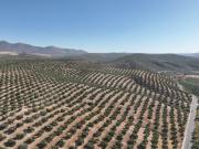 Suelo en venta, Parque del Cubillas, Granada